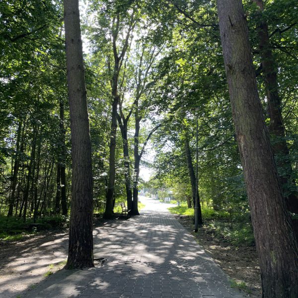 Okolice 0 11